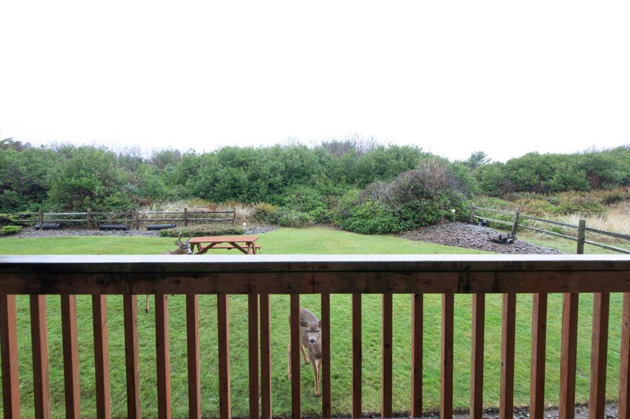 Aurora At Nautilus - Pet Friendly Oceanfront Condo Ocean Shores Kültér fotó